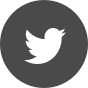 Twitter Link